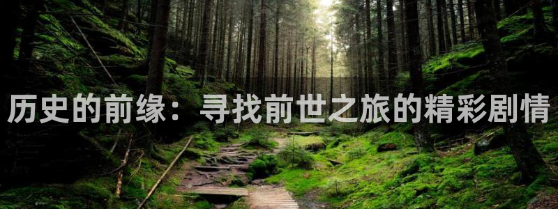 喵趣漫画怎么了：历史的前缘：寻找前世之旅的精彩剧情