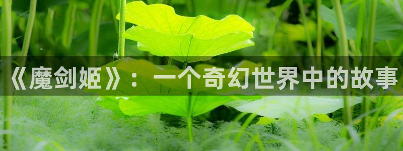 喵趣漫画.apk.1：《魔剑姬》：一个奇幻世界中的故事