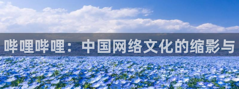 喵趣漫画的平替是什么漫画：哔哩哔哩：中国网络文化的缩影与