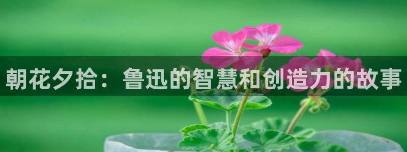喵趣漫画官网网址：朝花夕拾：鲁迅的智慧和创造力的故事
