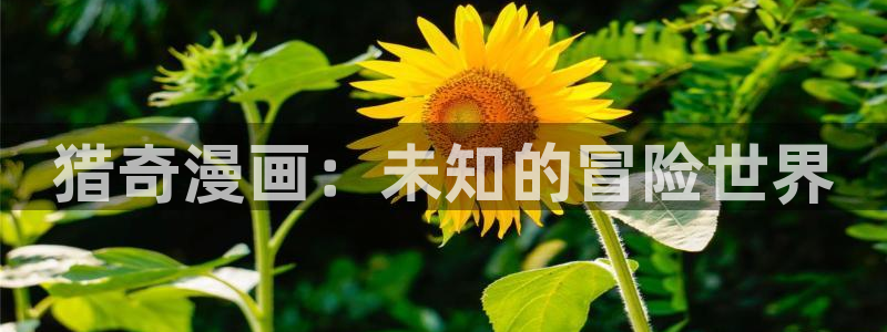 喵趣漫画官方入口在哪里