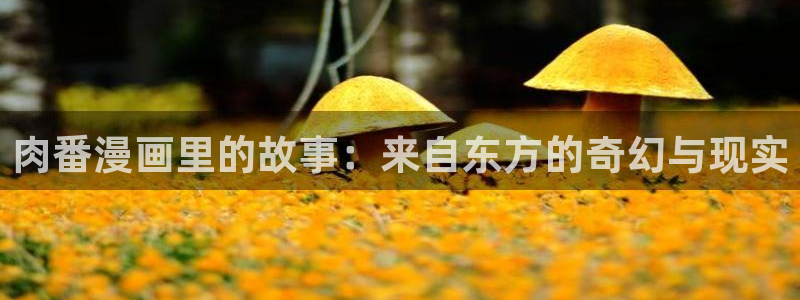 喵趣漫画吧