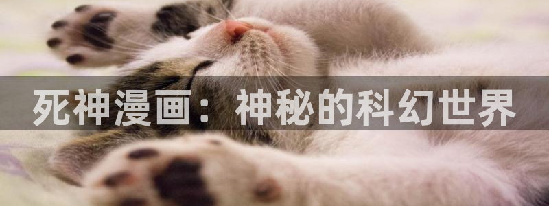 喵趣漫画官网入口免费阅读：死神漫画：神秘的科幻世界