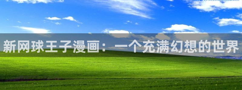 下载喵趣玩：新网球王子漫画：一个充满幻想的世界