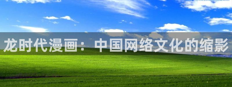 喵趣动画：龙时代漫画：中国网络文化的缩影